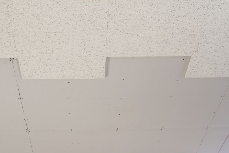 Acoustic Ceiling Removal