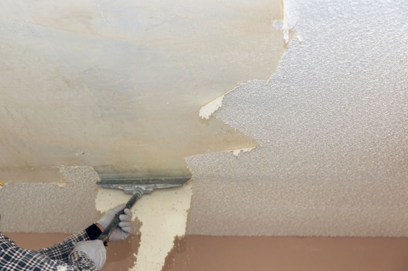 Post-Removal Ceiling Preparation